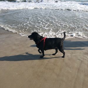 Meet your Posher, Tomi ann